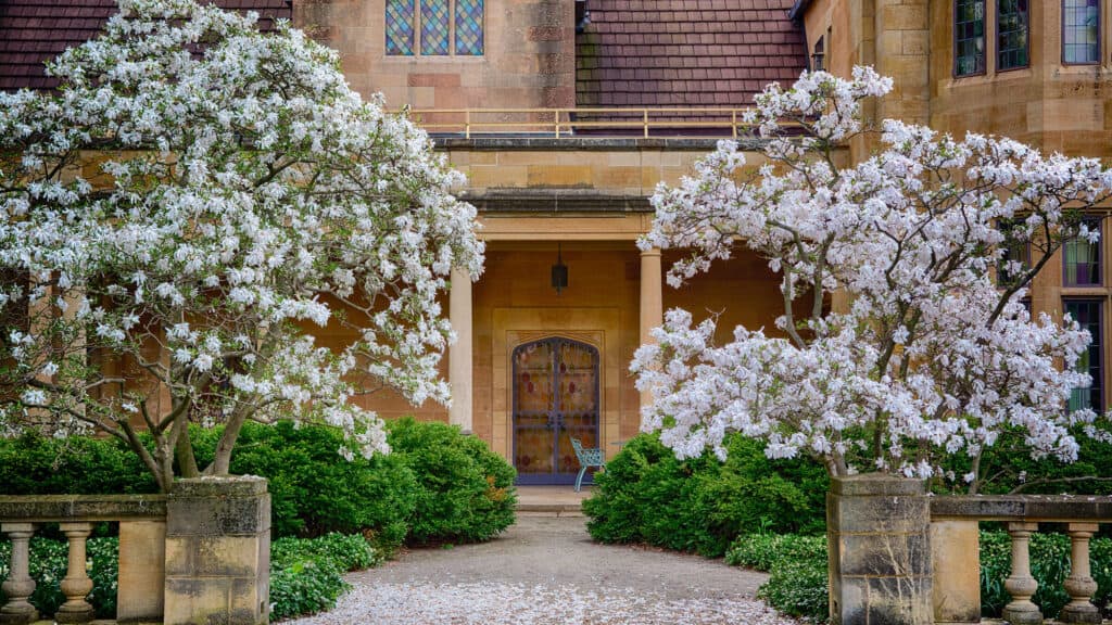 The façade of the mansion overlooking the White Garden has magnolia trees with white blooms in spring.