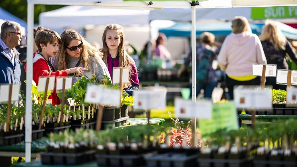 A family views plants for sale at Festival of Spring.