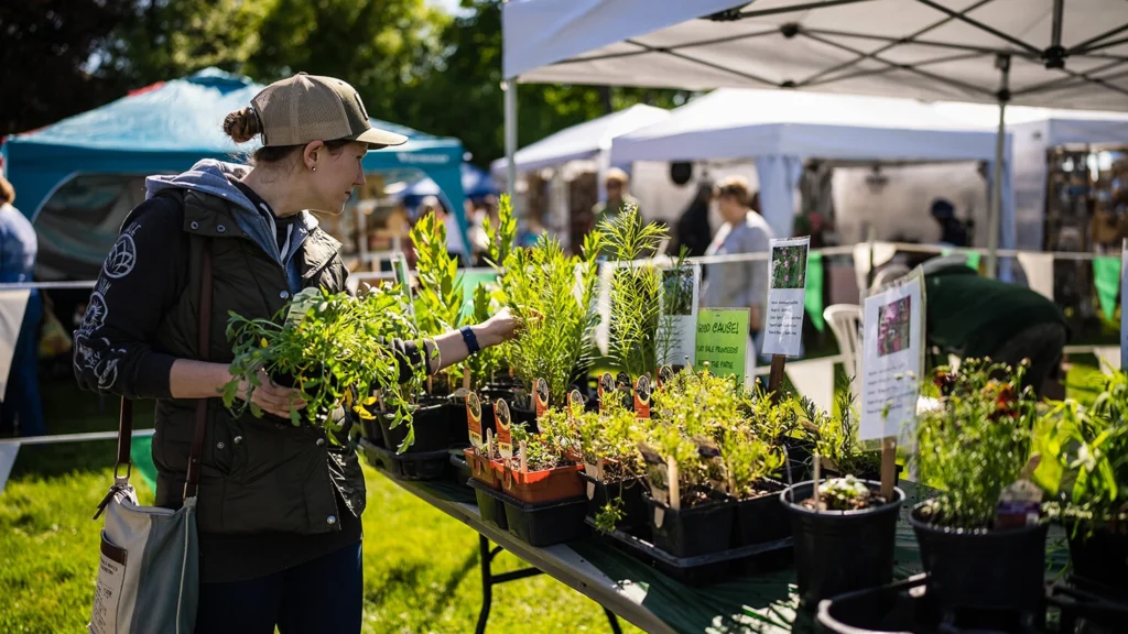 A woman selects plants at Festival of Spring in 2023.