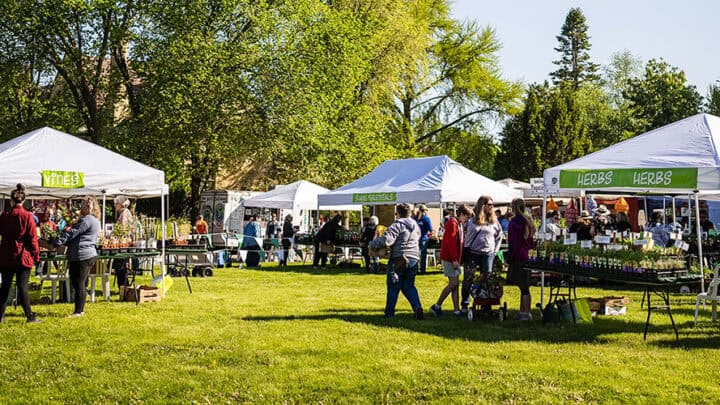 A scene from Festival of Spring