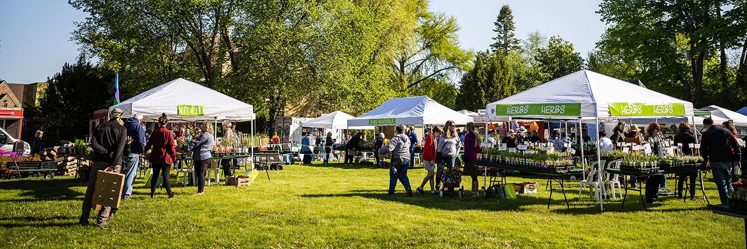 A scene from Festival of Spring