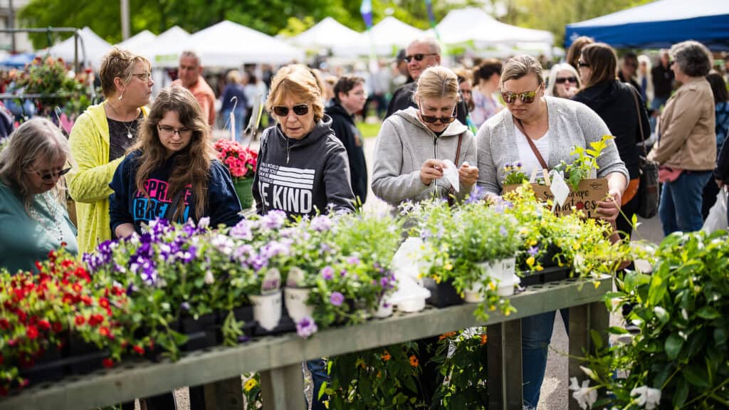 Five women look at plants and flowers for sale at Festival of Spring.