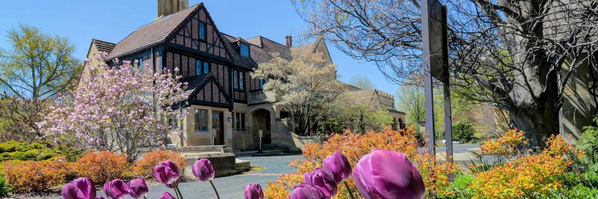 A view of the Paine mansion from the north side of the property in spring, with magenta tulips in the forefront.