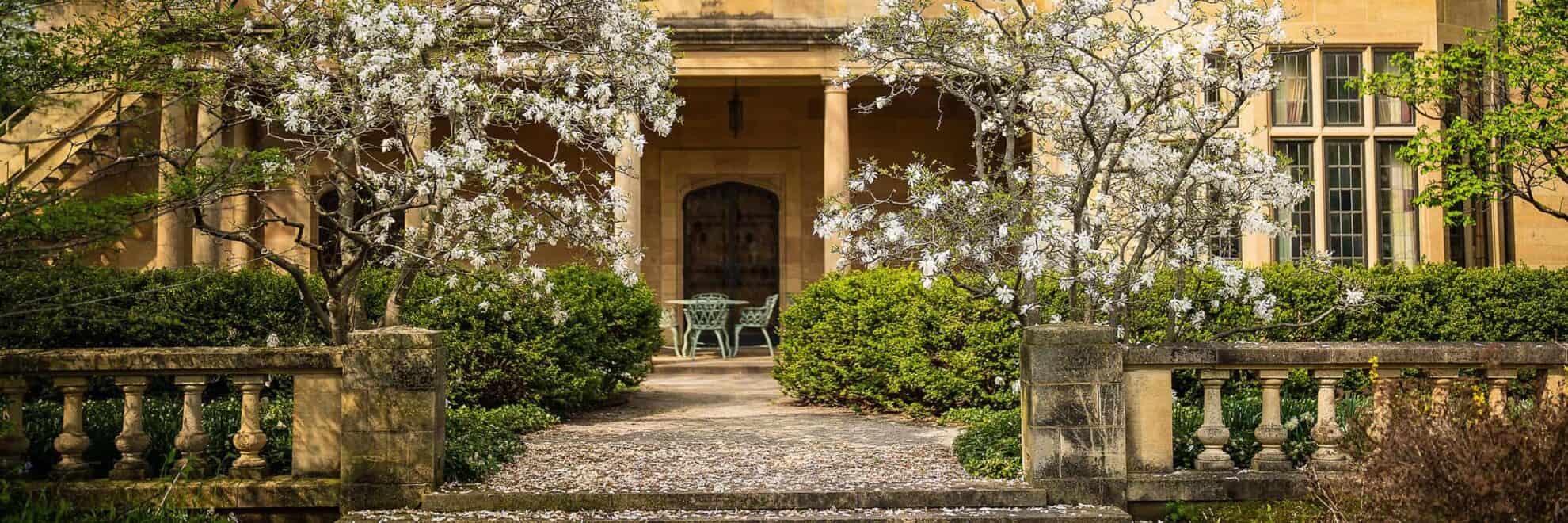 Two magnolia trees bloom near the loggia in spring.