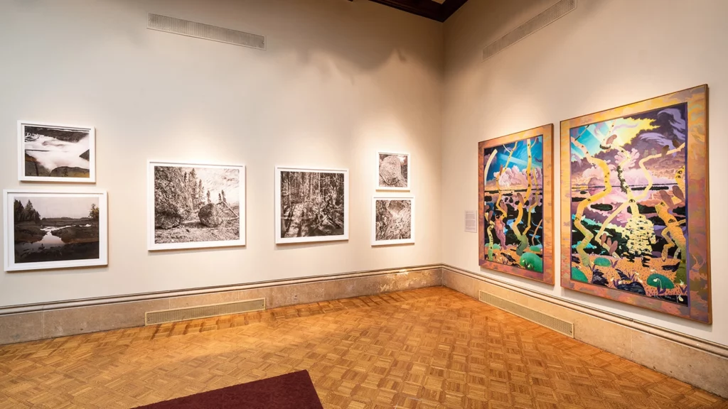 Large-scale paintings and photographs by Tom Uttech hang in the Main Gallery.
