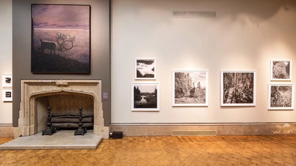 Large-scale paintings and photographs by Tom Uttech hang in the Main Gallery.
