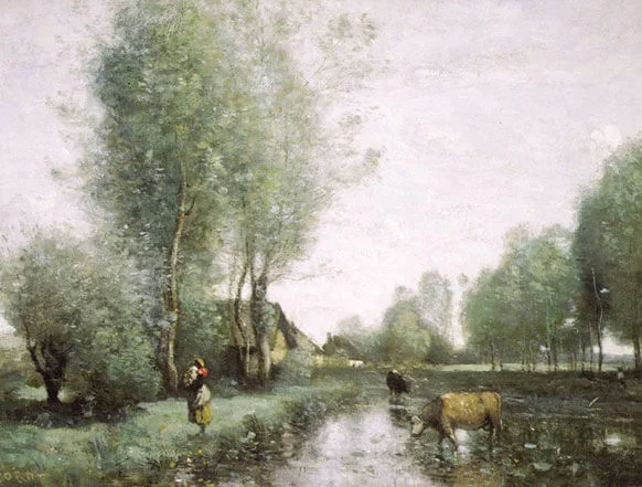 Two cows graze in the shallow water of a river while a woman stands along the shore.