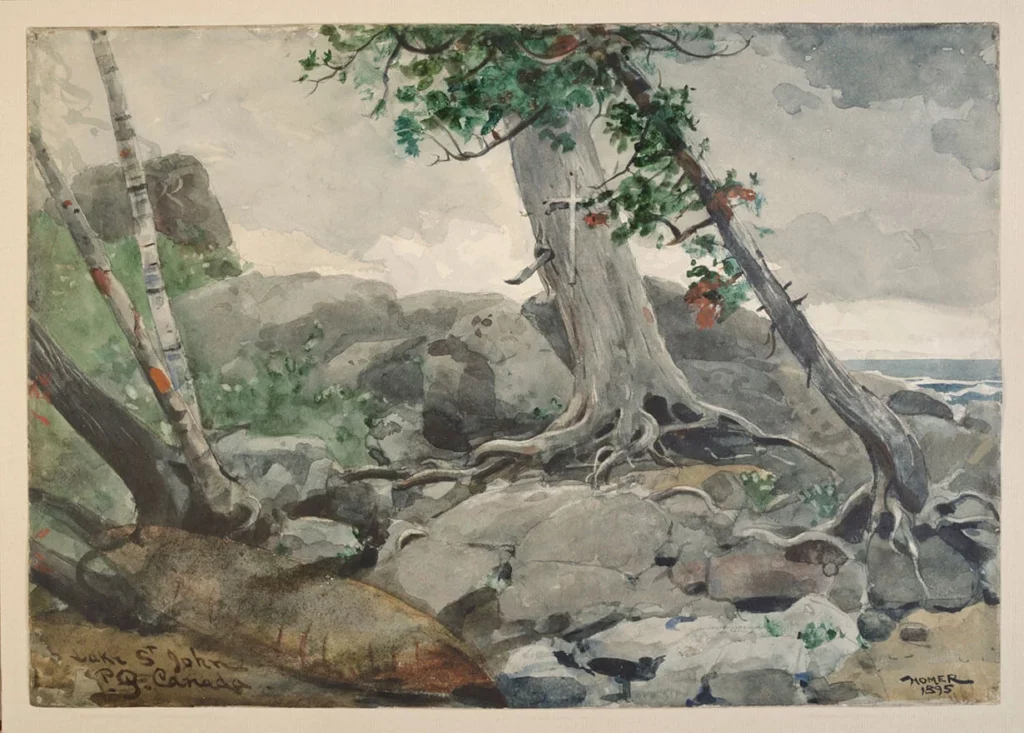 Watercolor painting of trees and rocks along the shore of Lake St. John in Quebec, Canada.