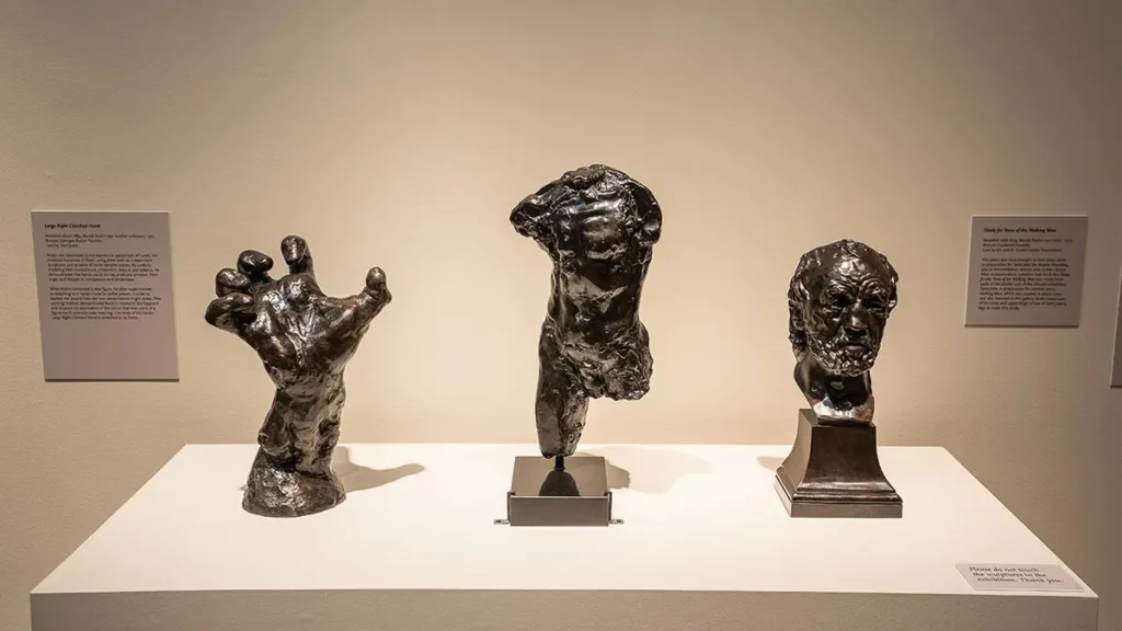 Sculptures by August Rodin on view in the Main Gallery