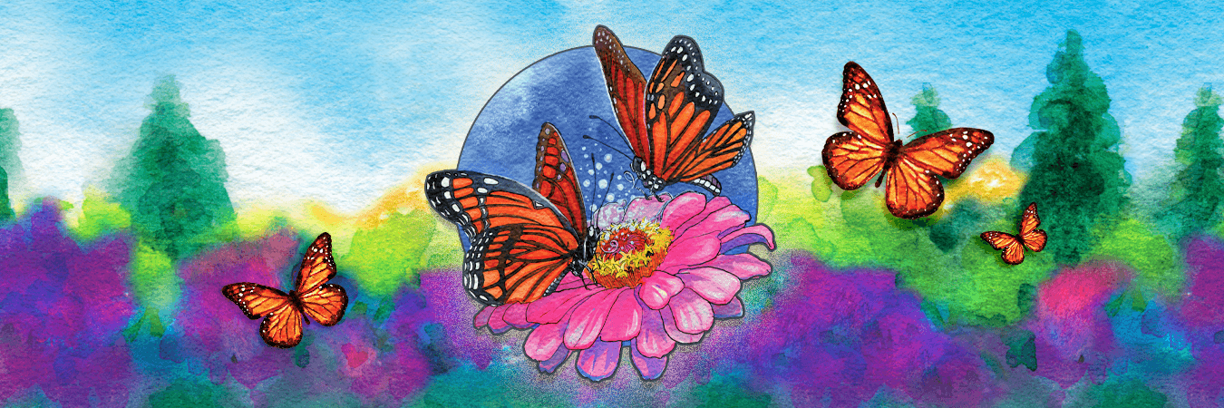 Watercolor image of five monarchs, with two landing on a pink flower.