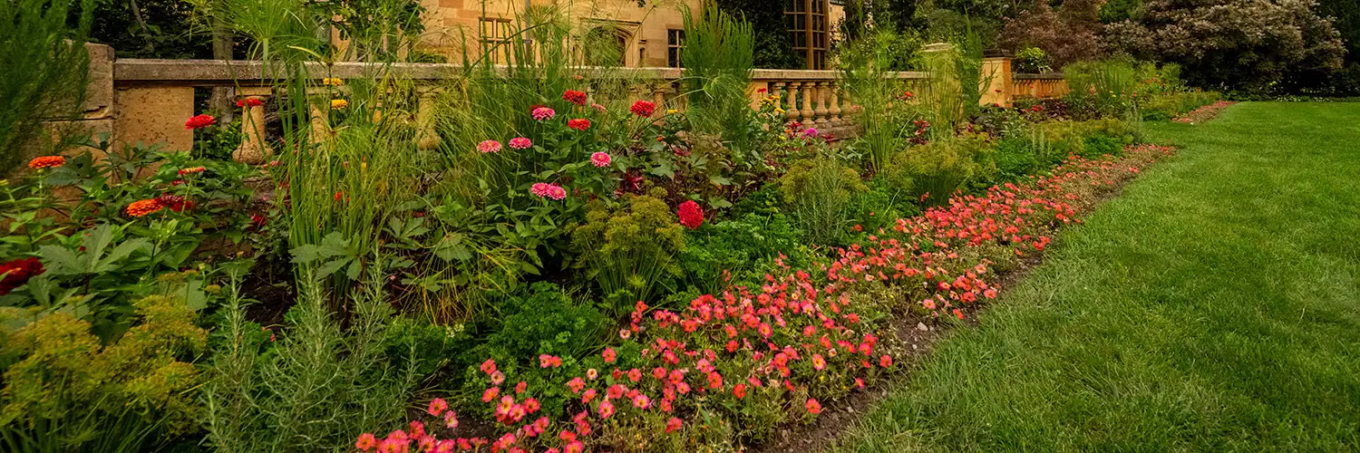 Flowers in the Paine gardens