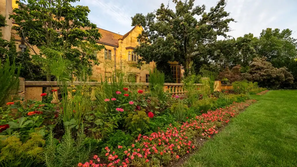 Flowers in the Paine gardens