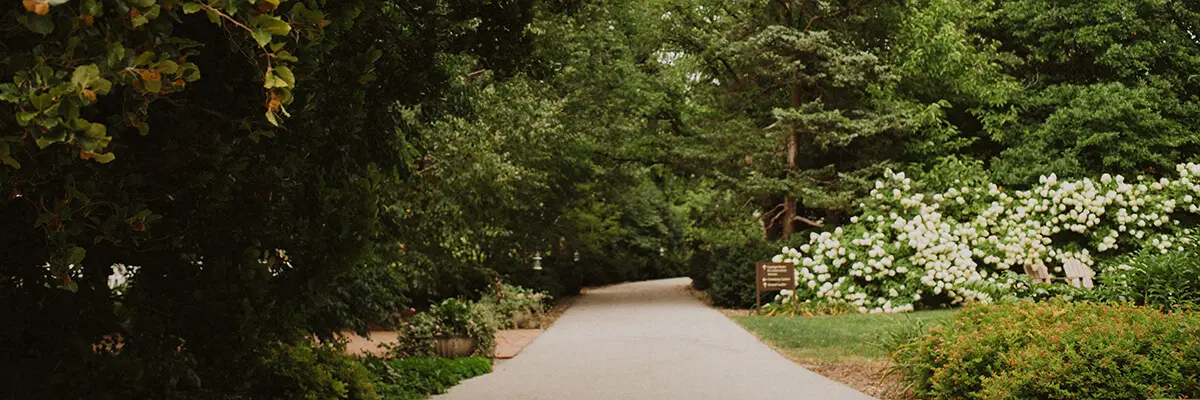 A path leads to the Paine gardens.