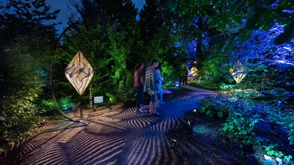 Visitors walk through The Nature of Light