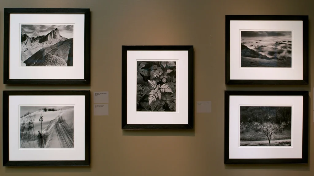 Photographs hang on a gallery wall.