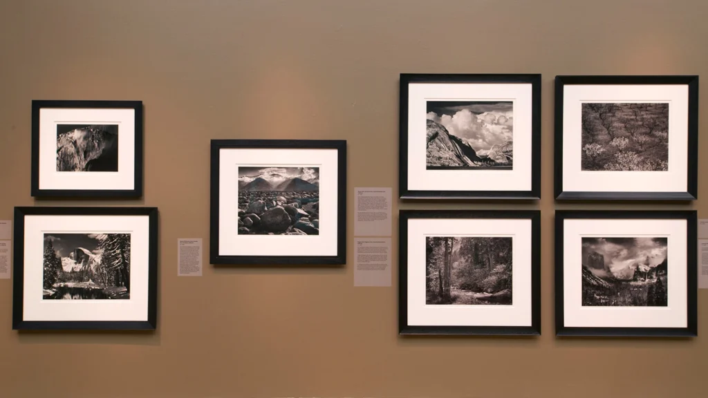 Photographs hang on a gallery wall.