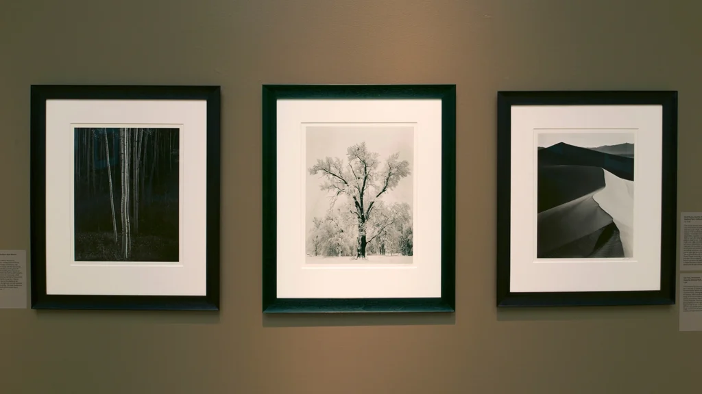 Photographs hang on a gallery wall.