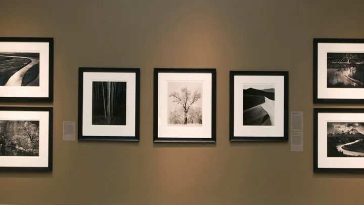 Photographs hang on a gallery wall.