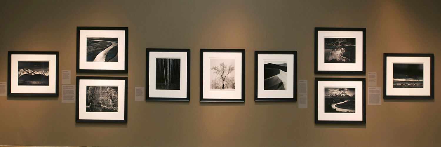 Photographs hang on a gallery wall.