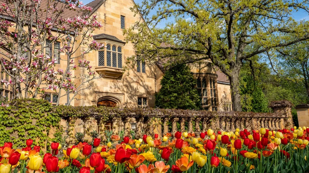 Red, yellow, and orange tulips in front of the Paine mansion.