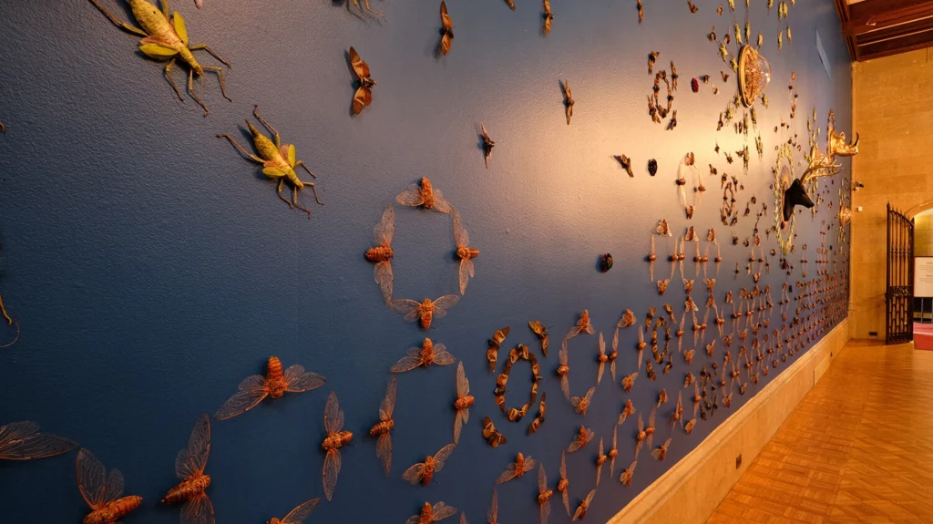 Insects arranged in patterns on a bright blue wall.