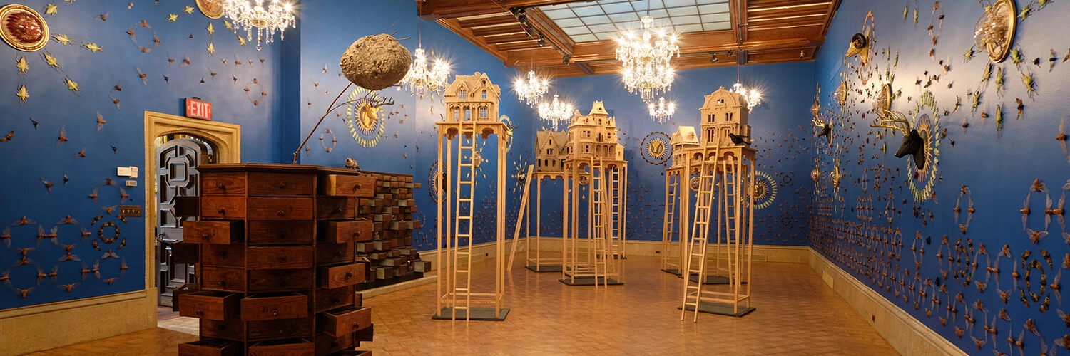 Wax house sculptures tower on stilts in the middle of the Main Gallery surrounded by insects pinned to bright blue walls in symmetrical patterns. A large, dresser of specimens sits at the forefront, and chandeliers dangle overhead.
