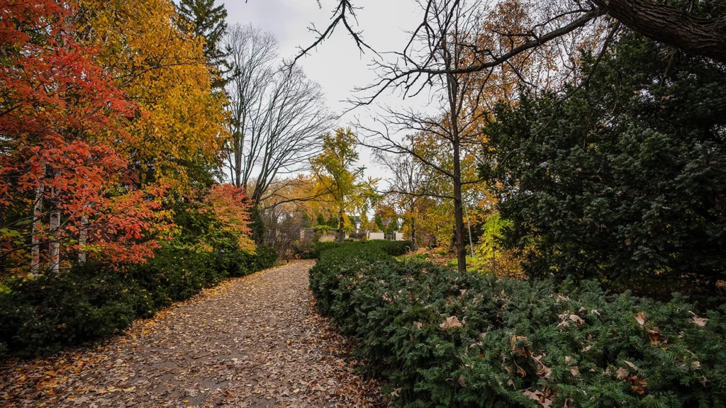 A garden path in fall.