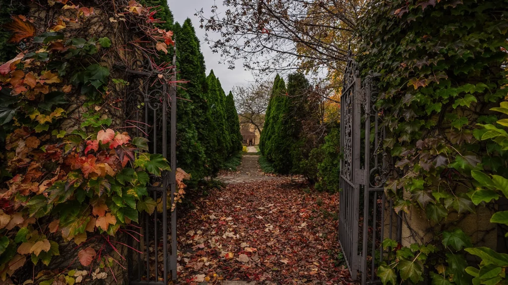 A garden path lined with trees in fall.