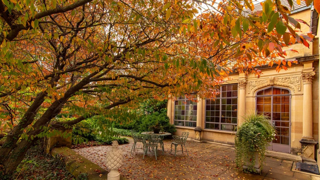 A tree with orange leaves in fall at the Paine.