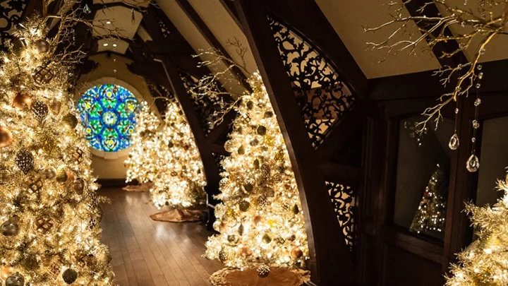 Golden Christmas trees on display in the Gothic Gallery
