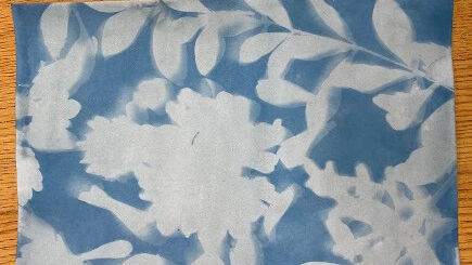 A cyanotype