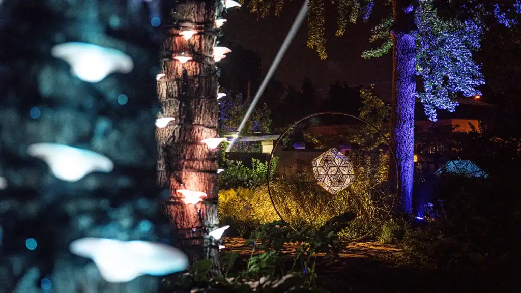 A sculpture illuminated among gardens for The Nature of Light.