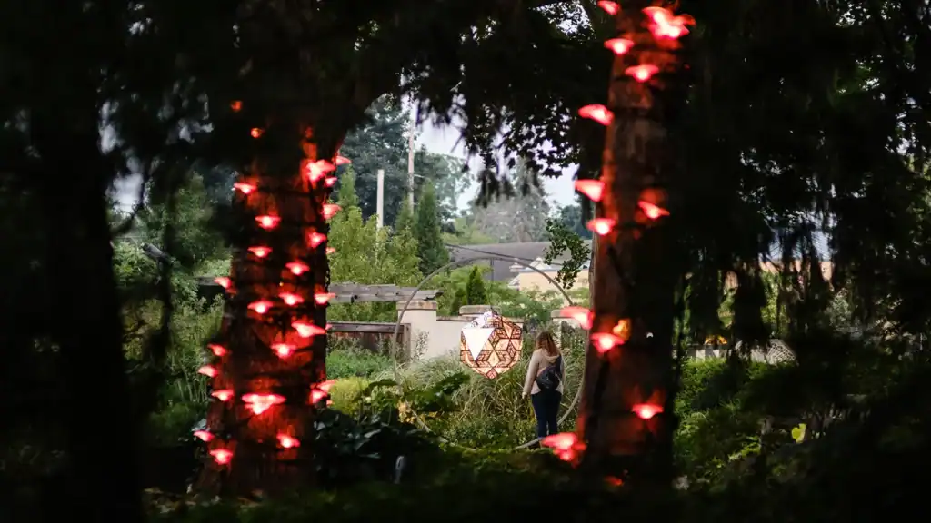 A path at twilight during The Nature of Light