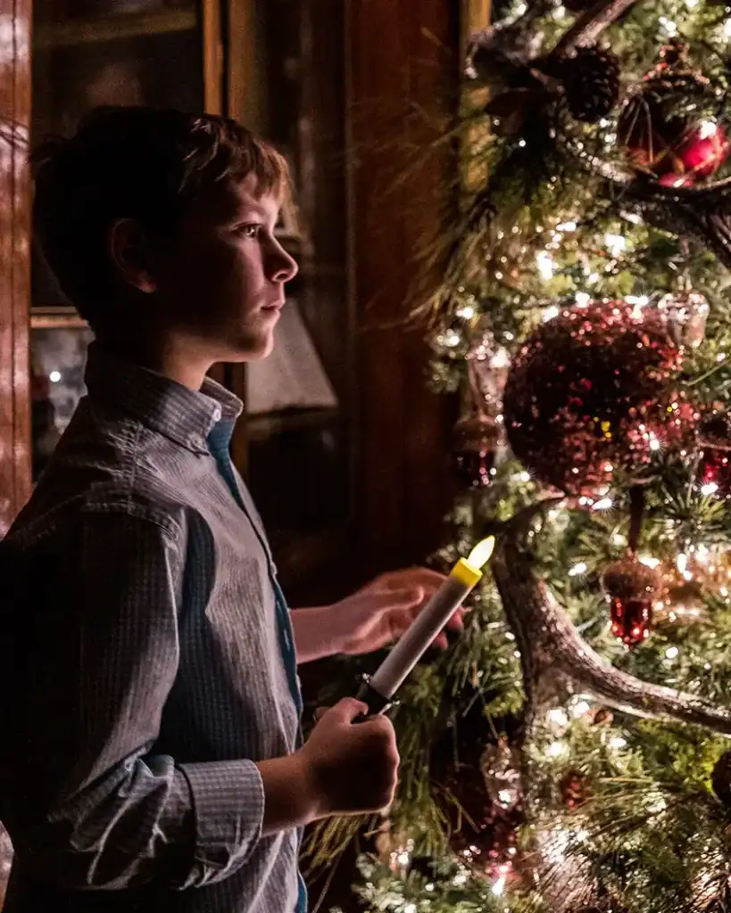 A boy holding a candle views a Christmas tree.