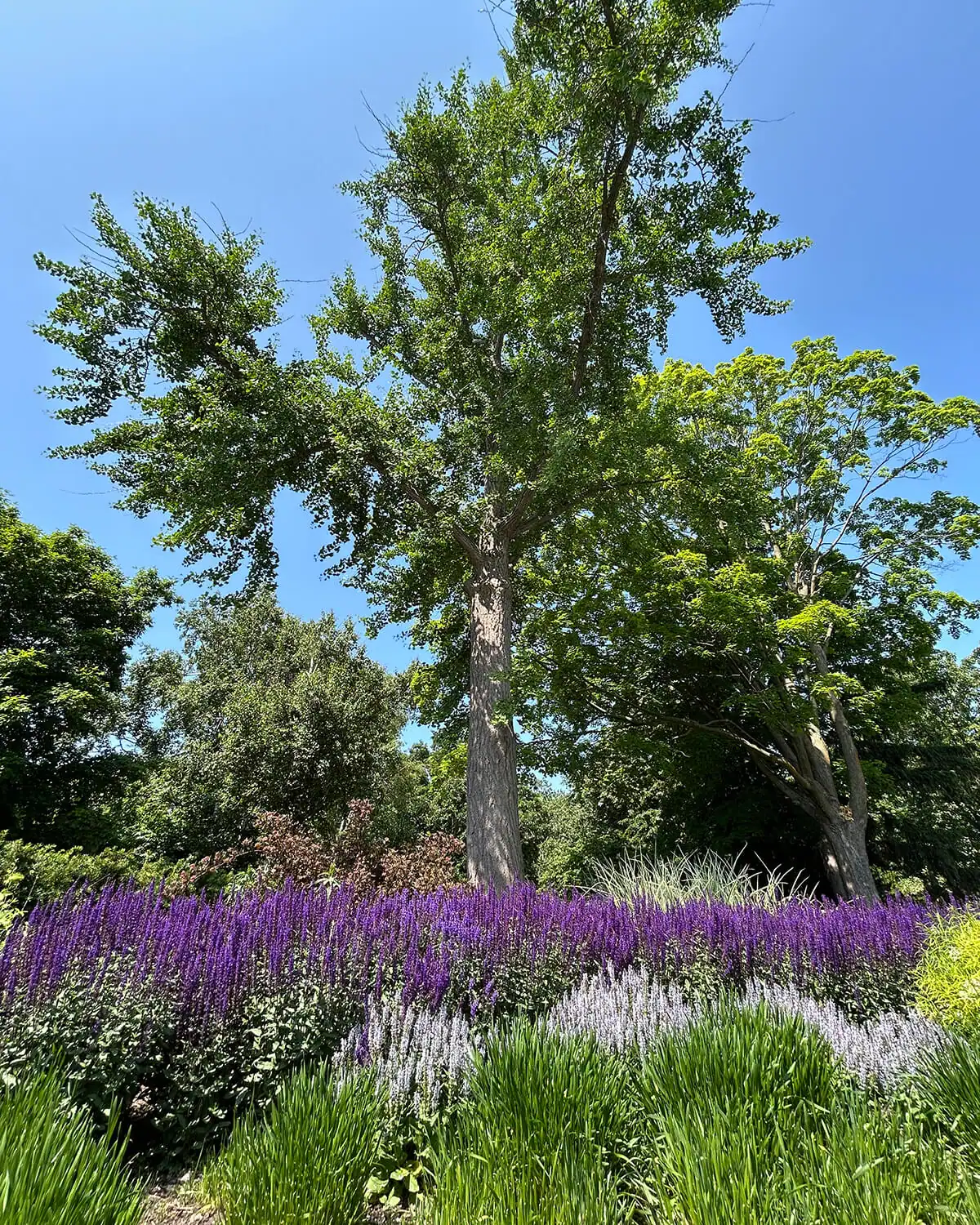 About the Gardens - Paine Art Center and Gardens