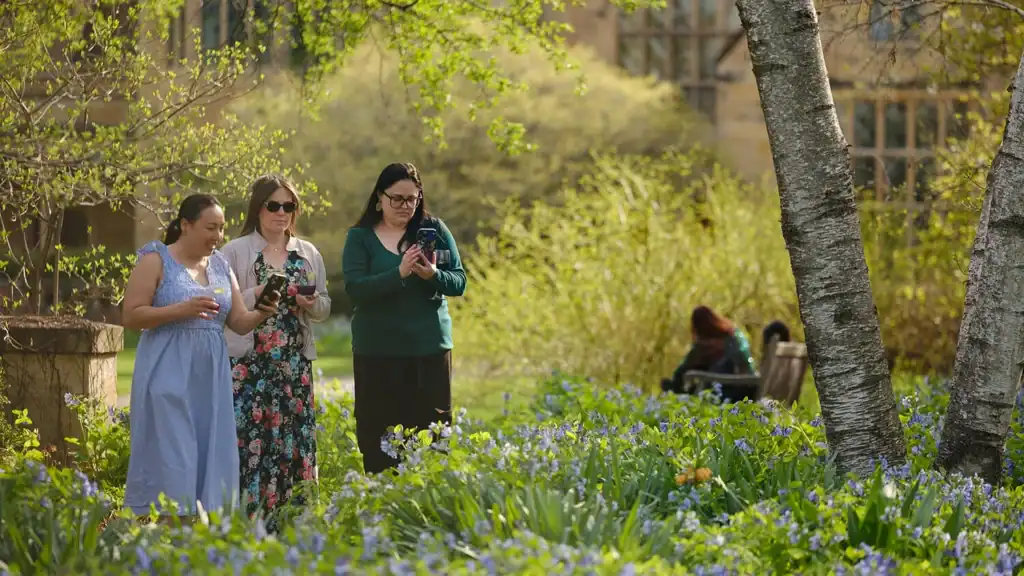 Three women look at flowers
