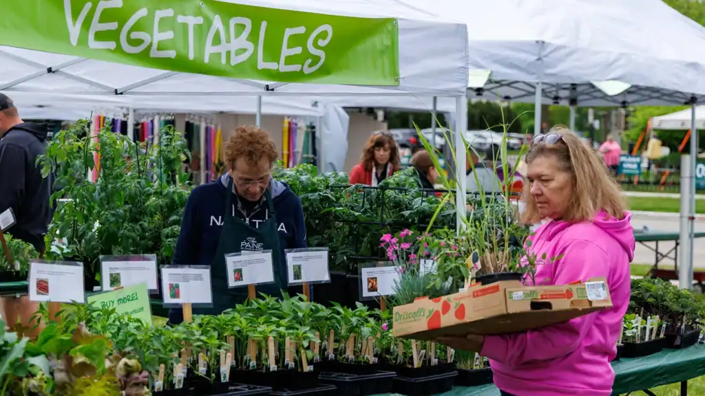 A woman looks at plants at Festival of Spring